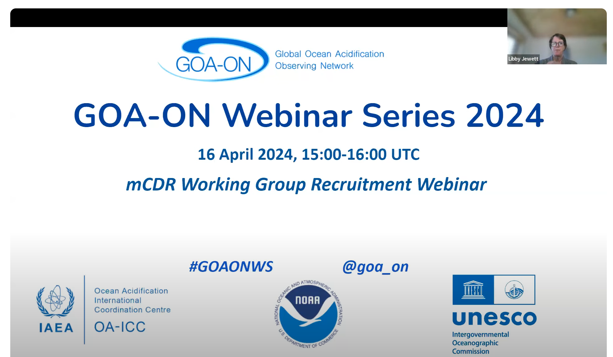 Screenshot of the webinar