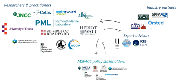 Image showing all of the partner logos