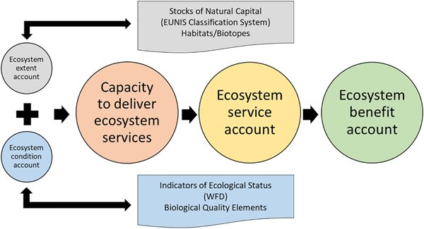 ES-flow.jpg