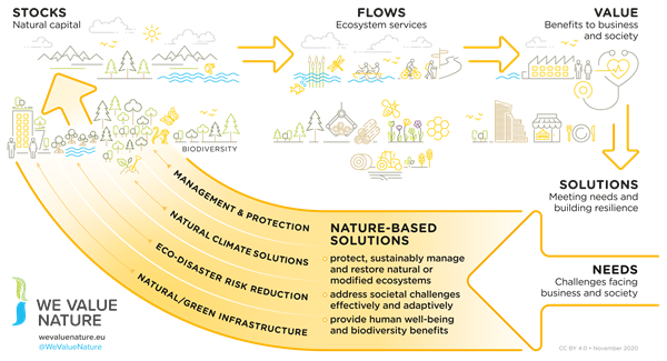 WeValueNatureGraphic.png