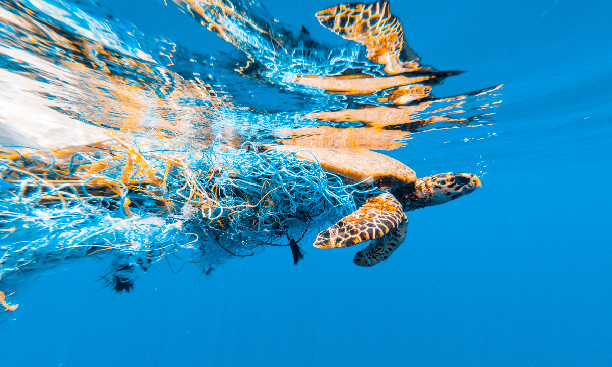 allianz-marine-plastic.jpeg