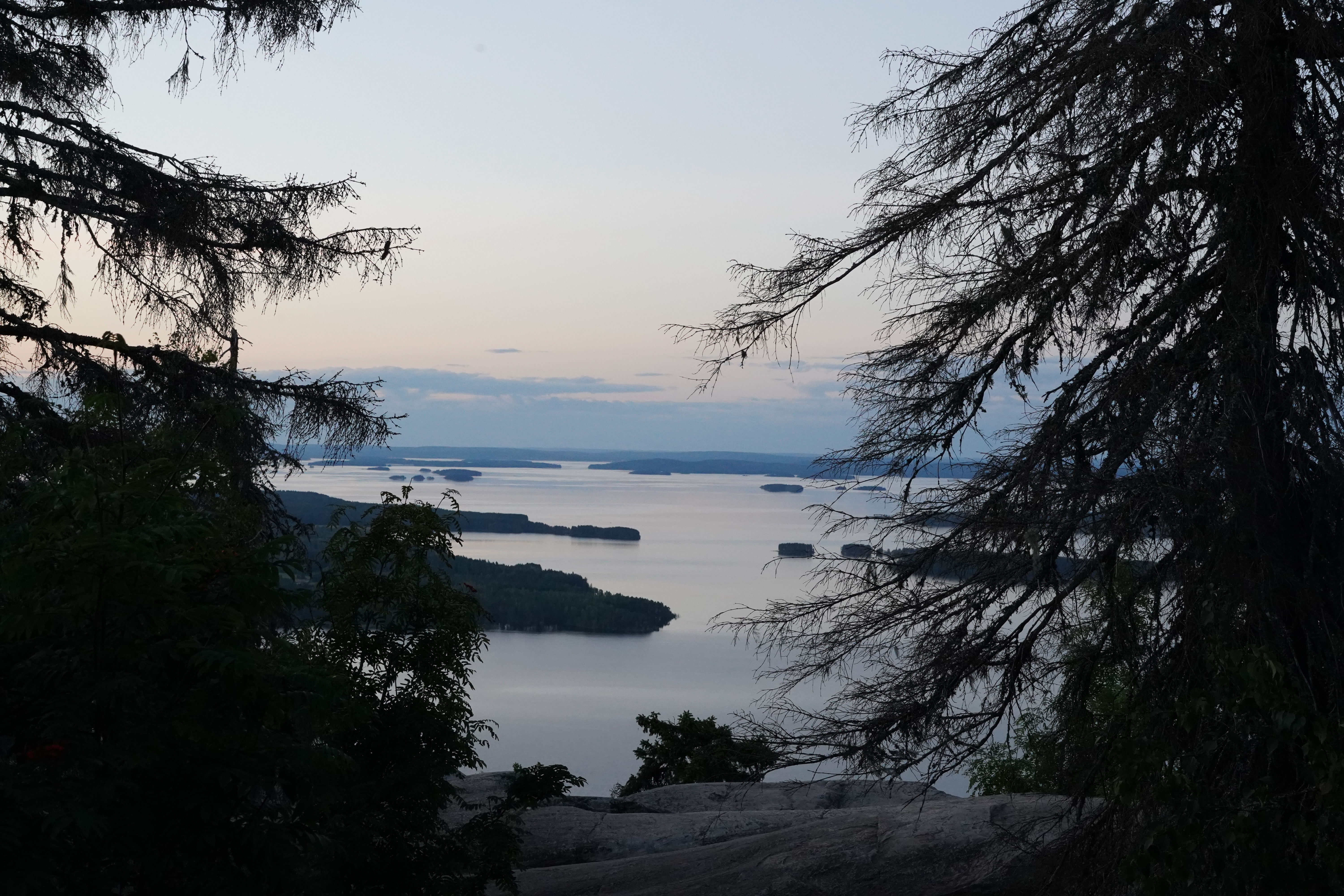 DSC08589.JPG