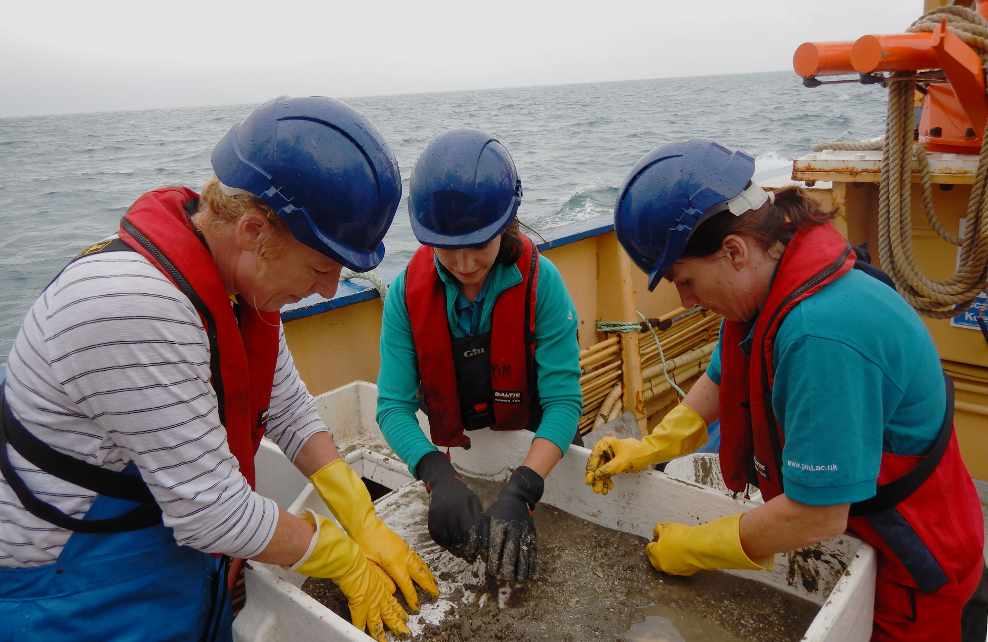 Scientists working on boat