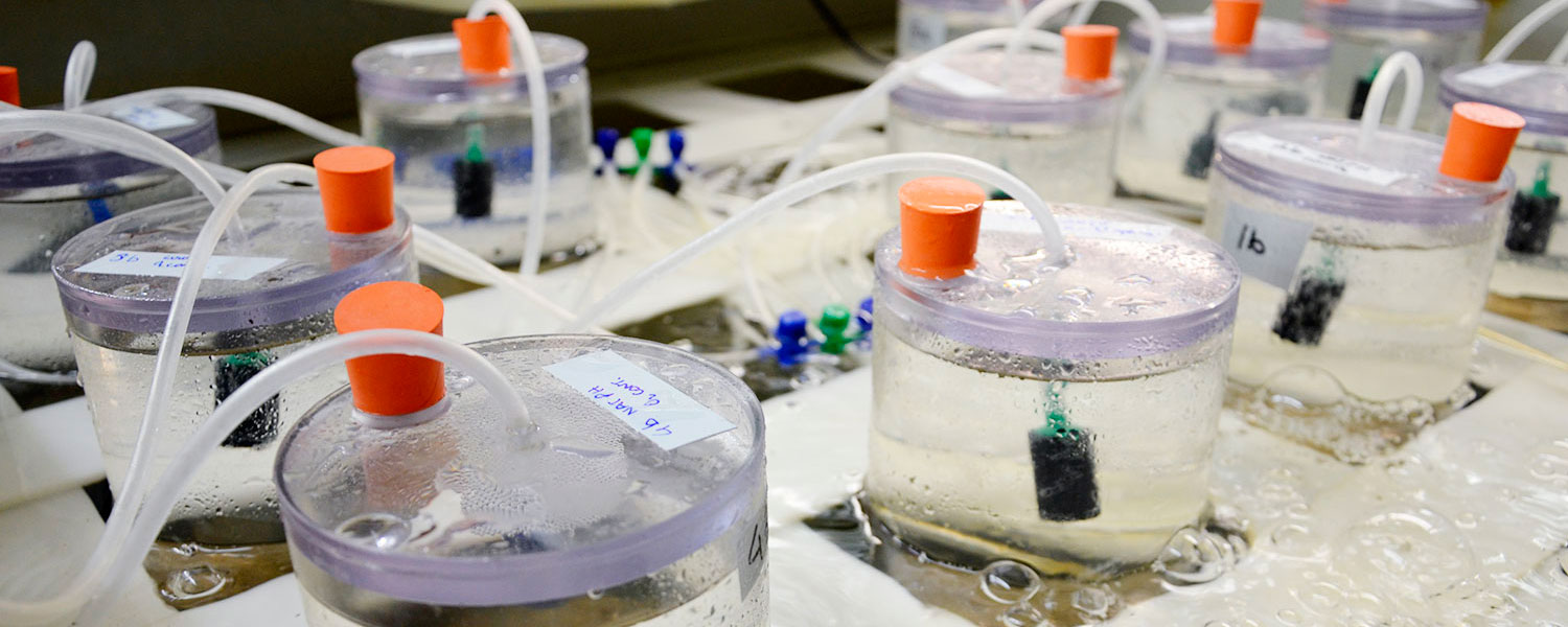 Scientific equipment