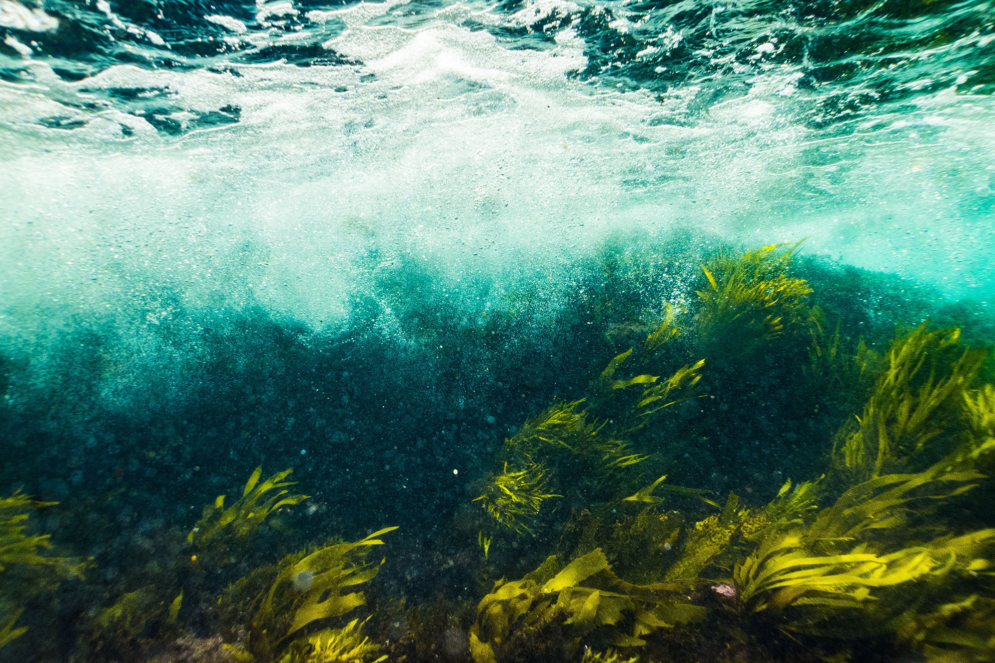Seascape carbon management beyond wetlands as eligible blue carbon activities