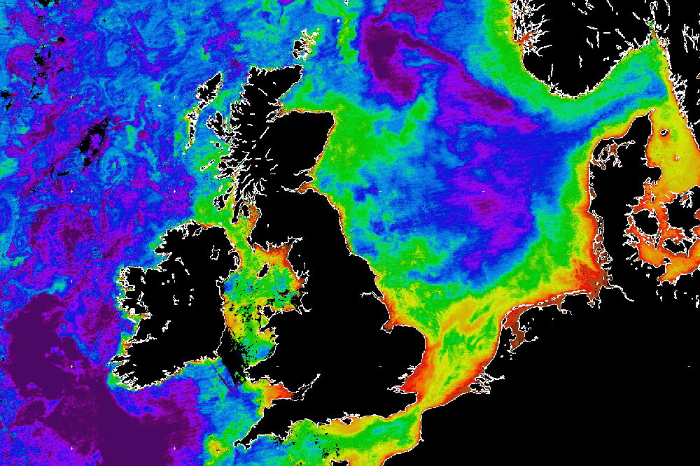Satellite image showing Chlorophyll-a concentrations