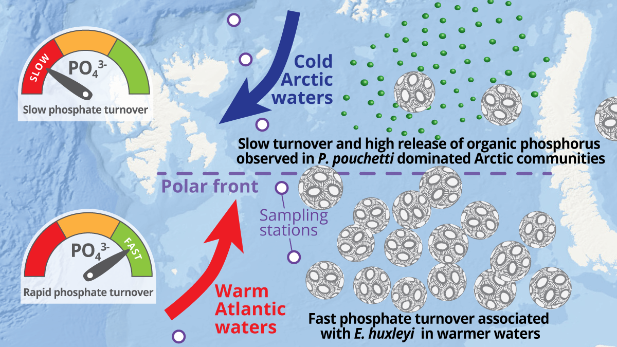 Ice at sea