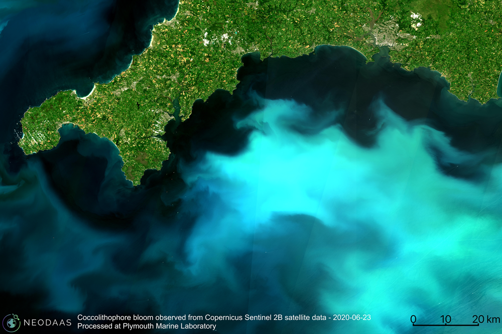 Coccolithophore bloom observed from Copernicus Sentinel 2B satellite data 23rd June 2020