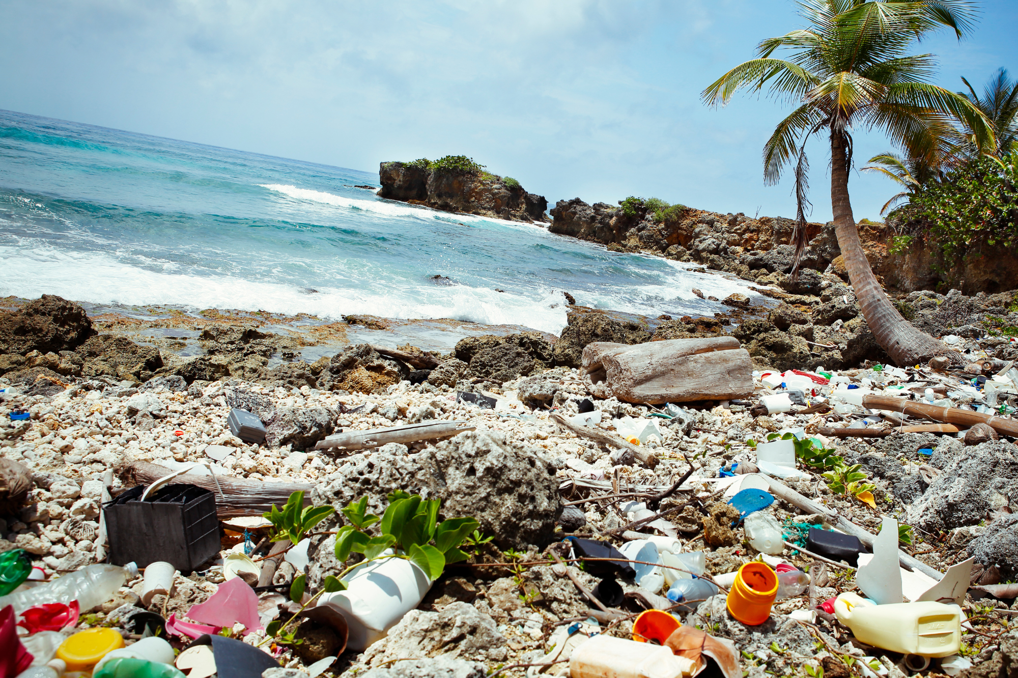 Above: Plastic pollution on a beach in Jamaica – one of the 38 Small Island Developing States