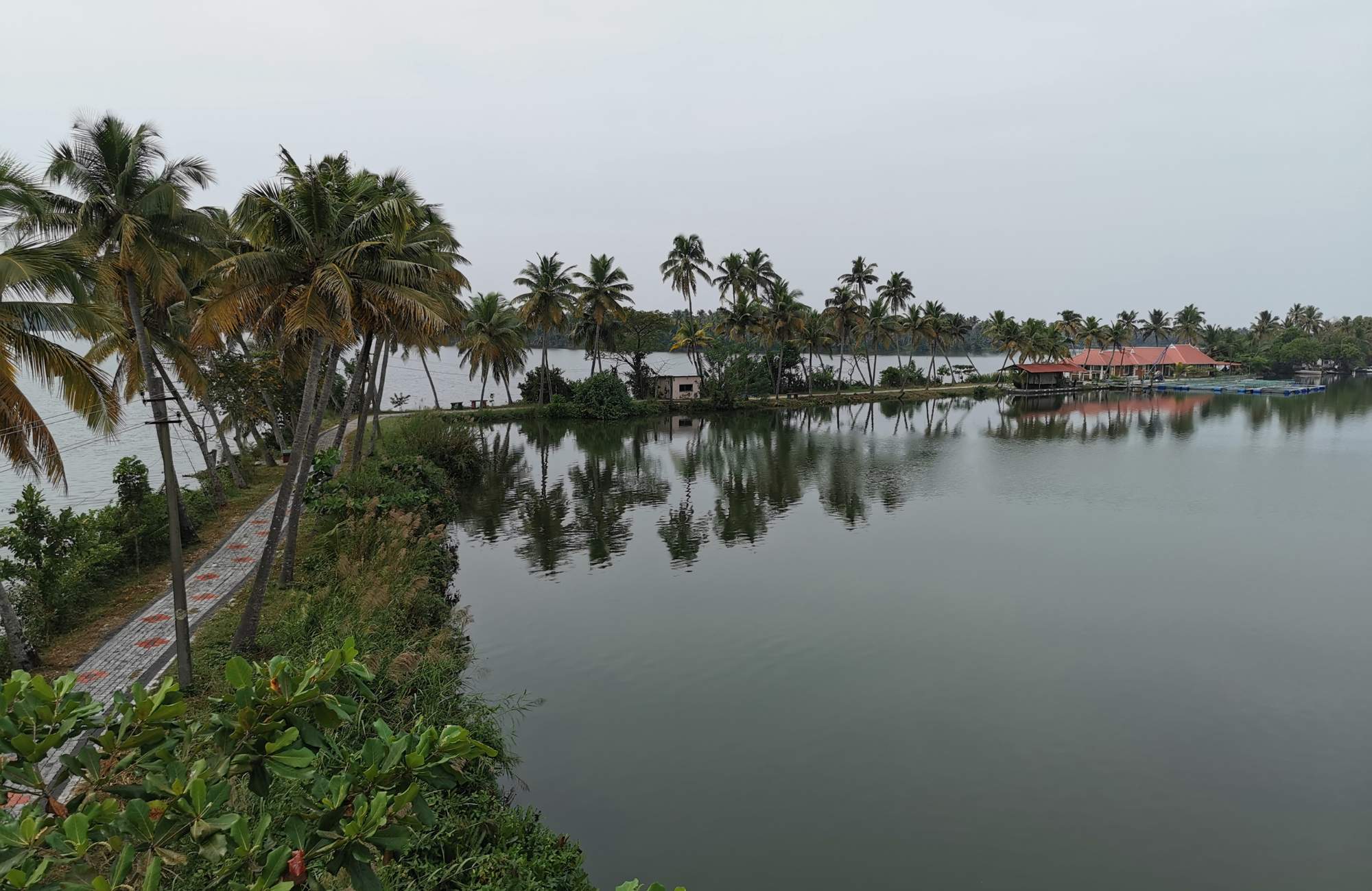 WADIM: Water-Associated infectious Diseases in India: digital Management tools