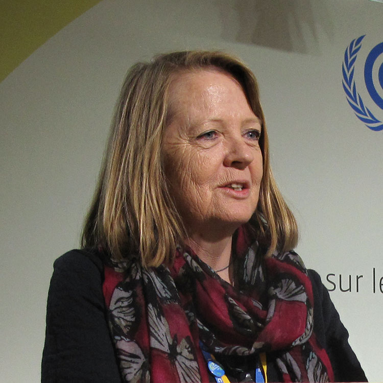 Dr Carol Turley