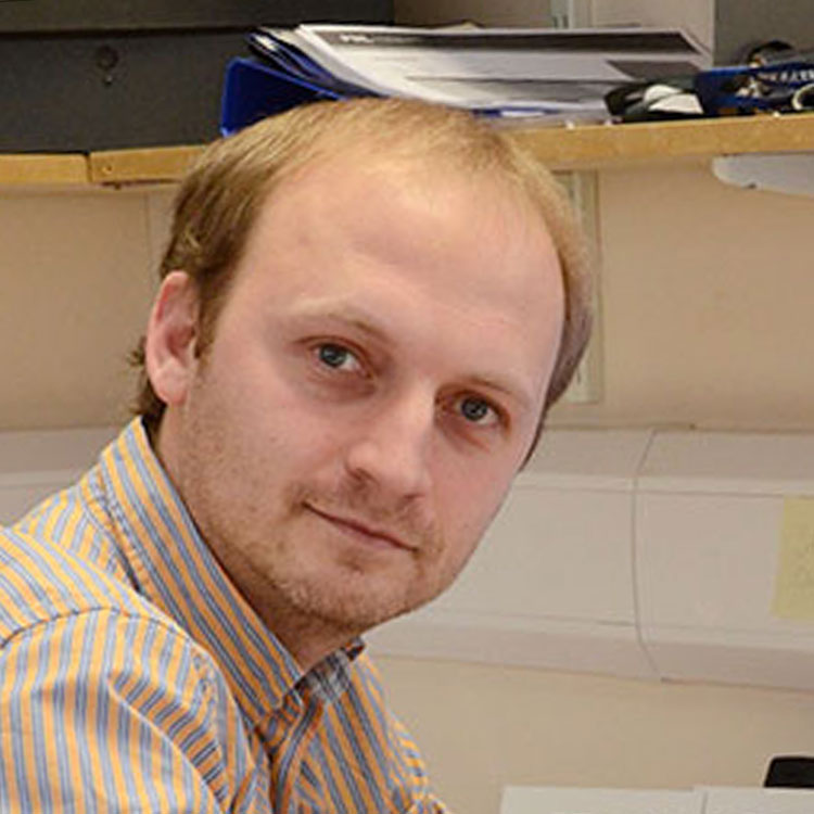 Dr Gennadi Lessin