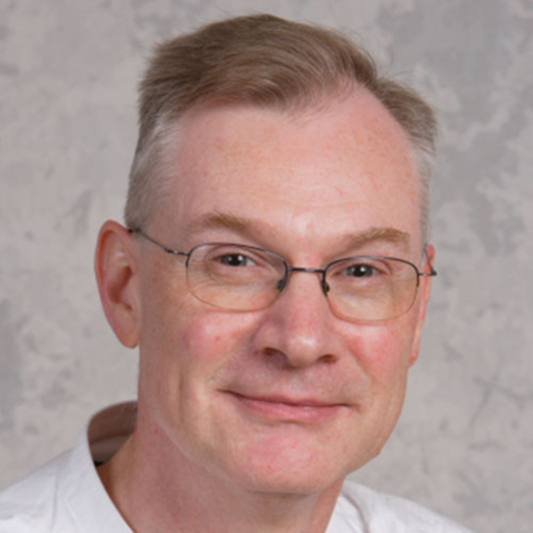 Professor Steve Groom