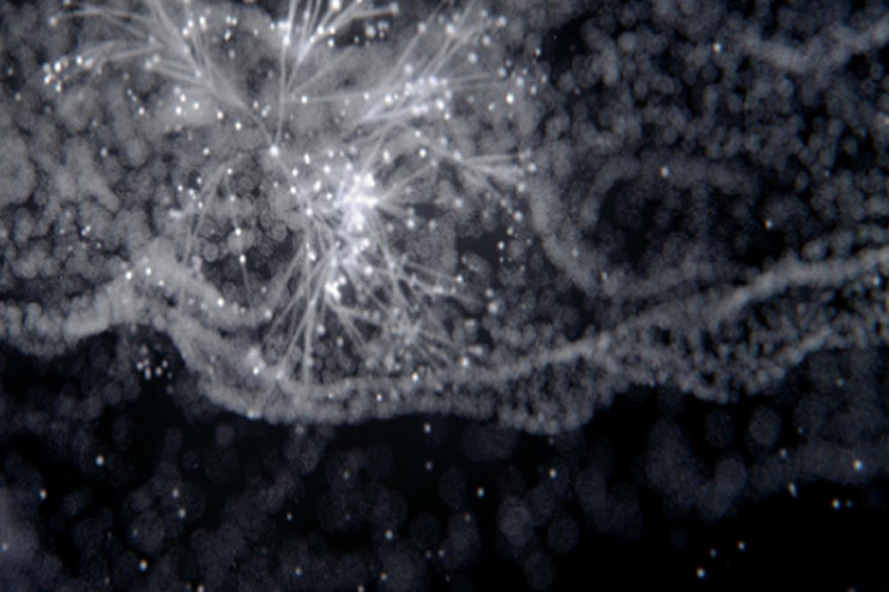 Banner image displaying words 'clarivate - Highly Cited Researchers 2021'