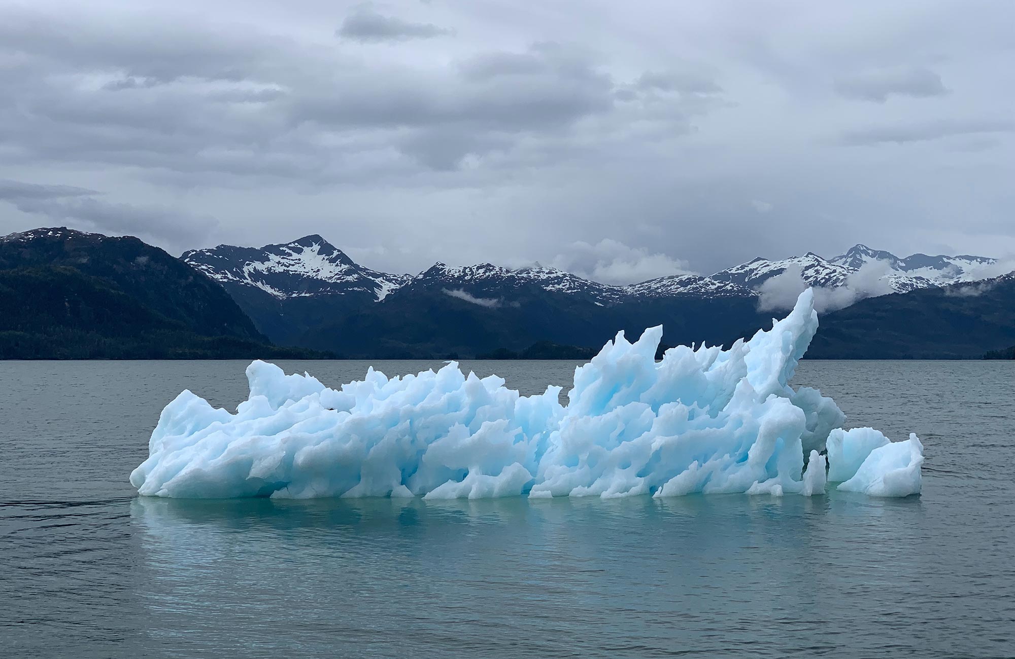 Icebergs in the arctic
