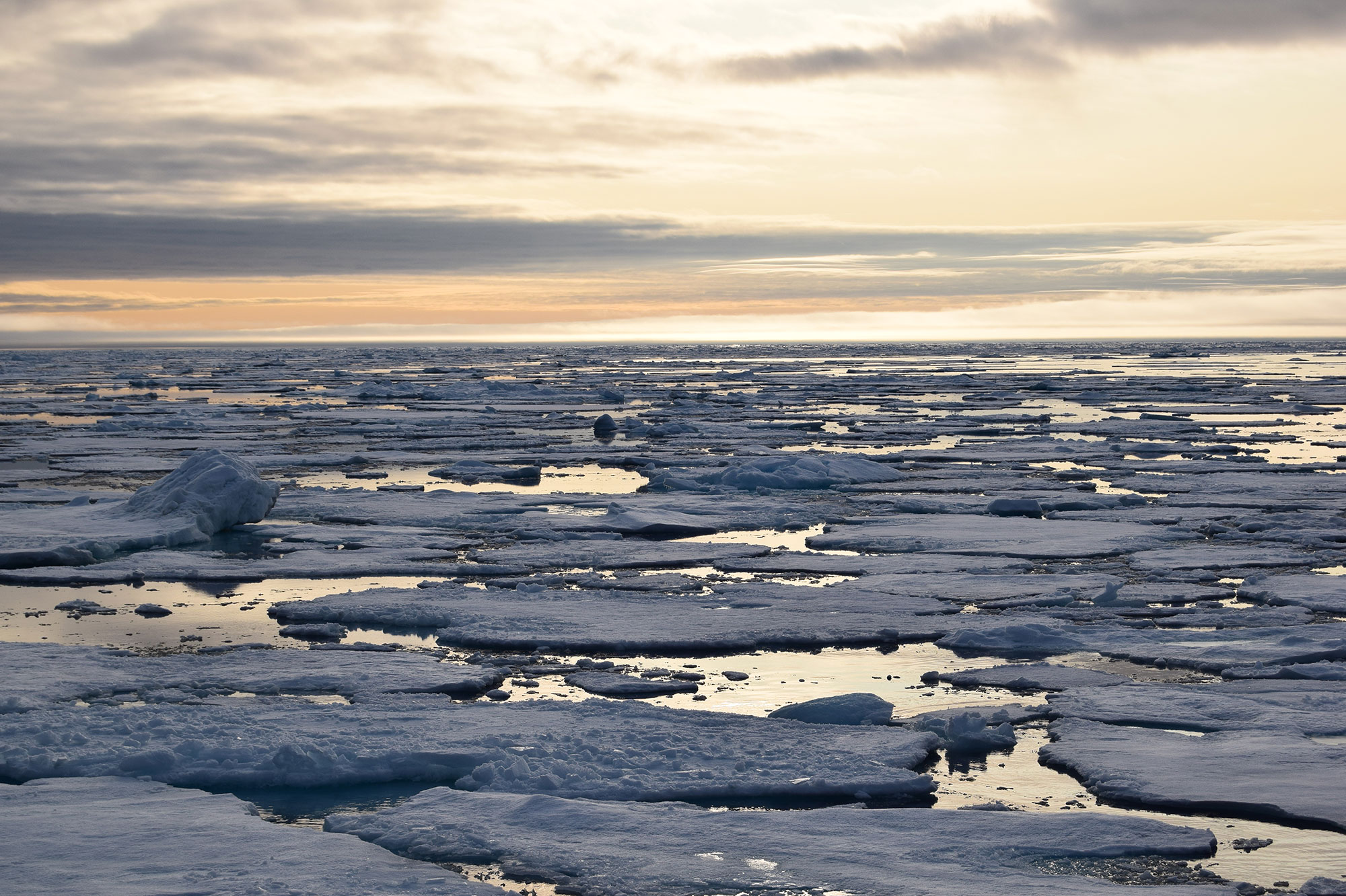 Sea ice at dusk in the Arctic