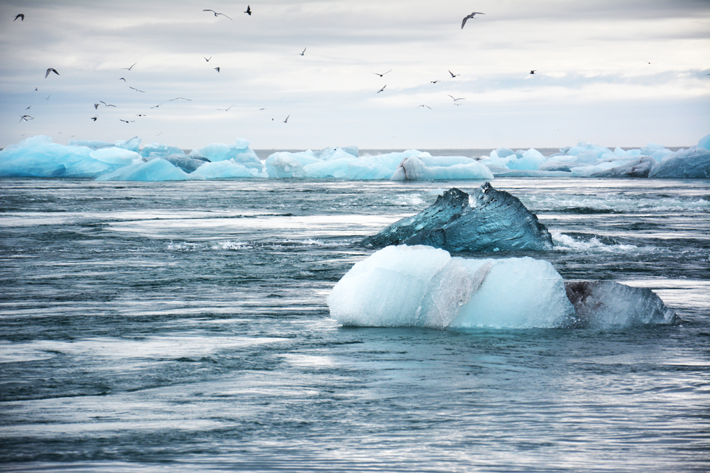 Ice floating in the sea