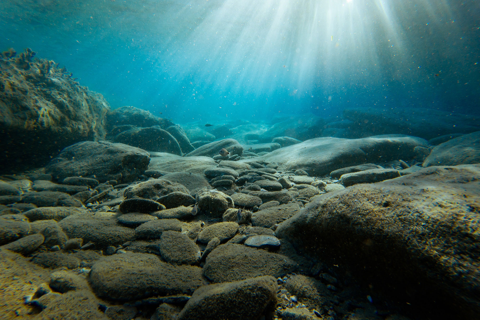 The sea bed