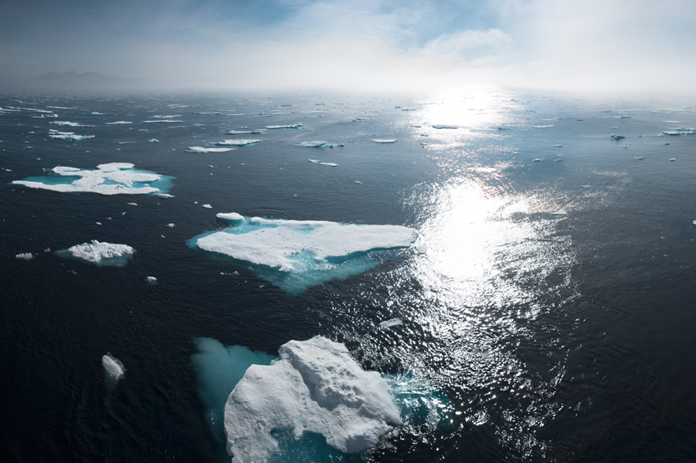 Arctic