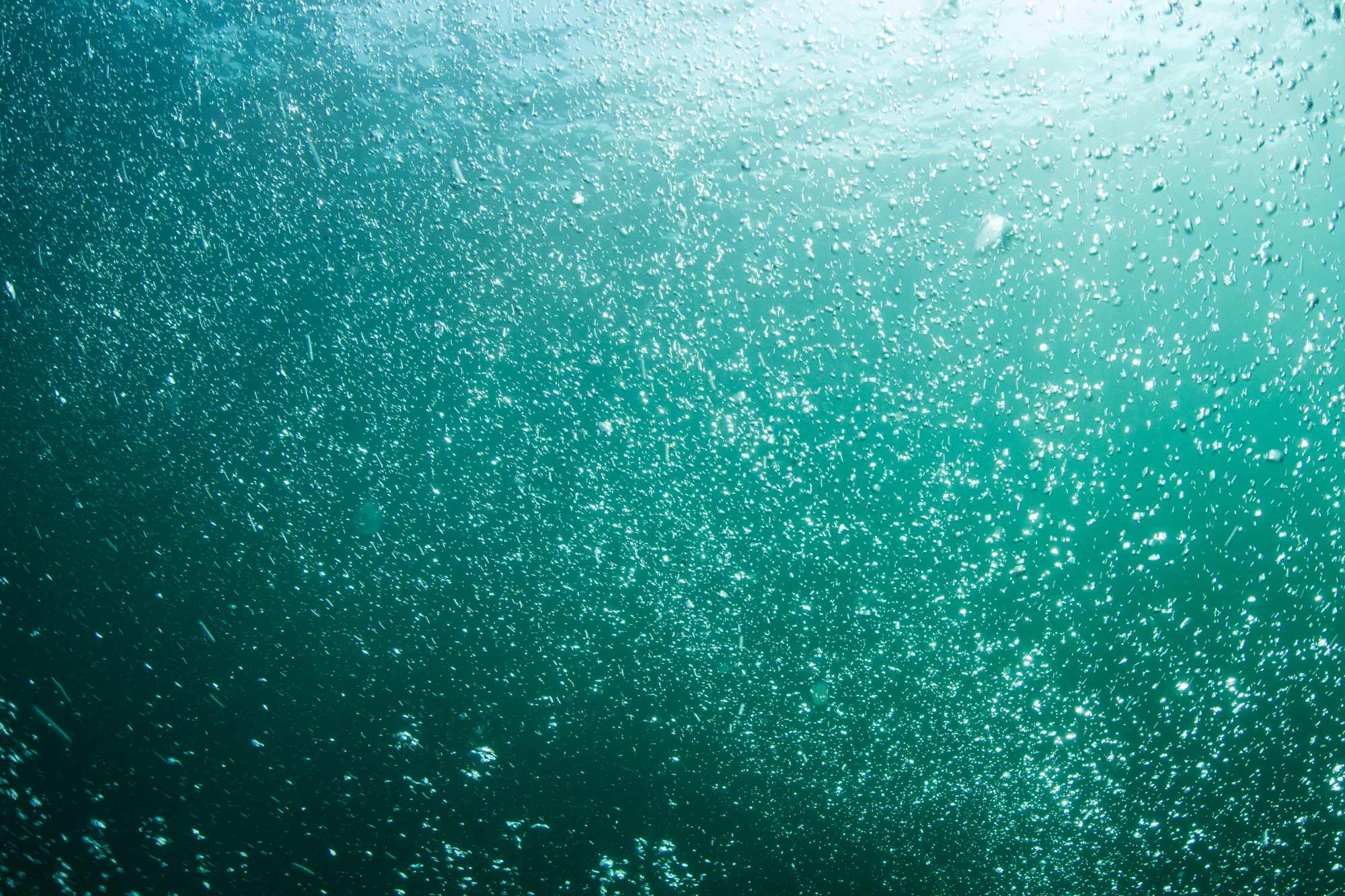 Sea