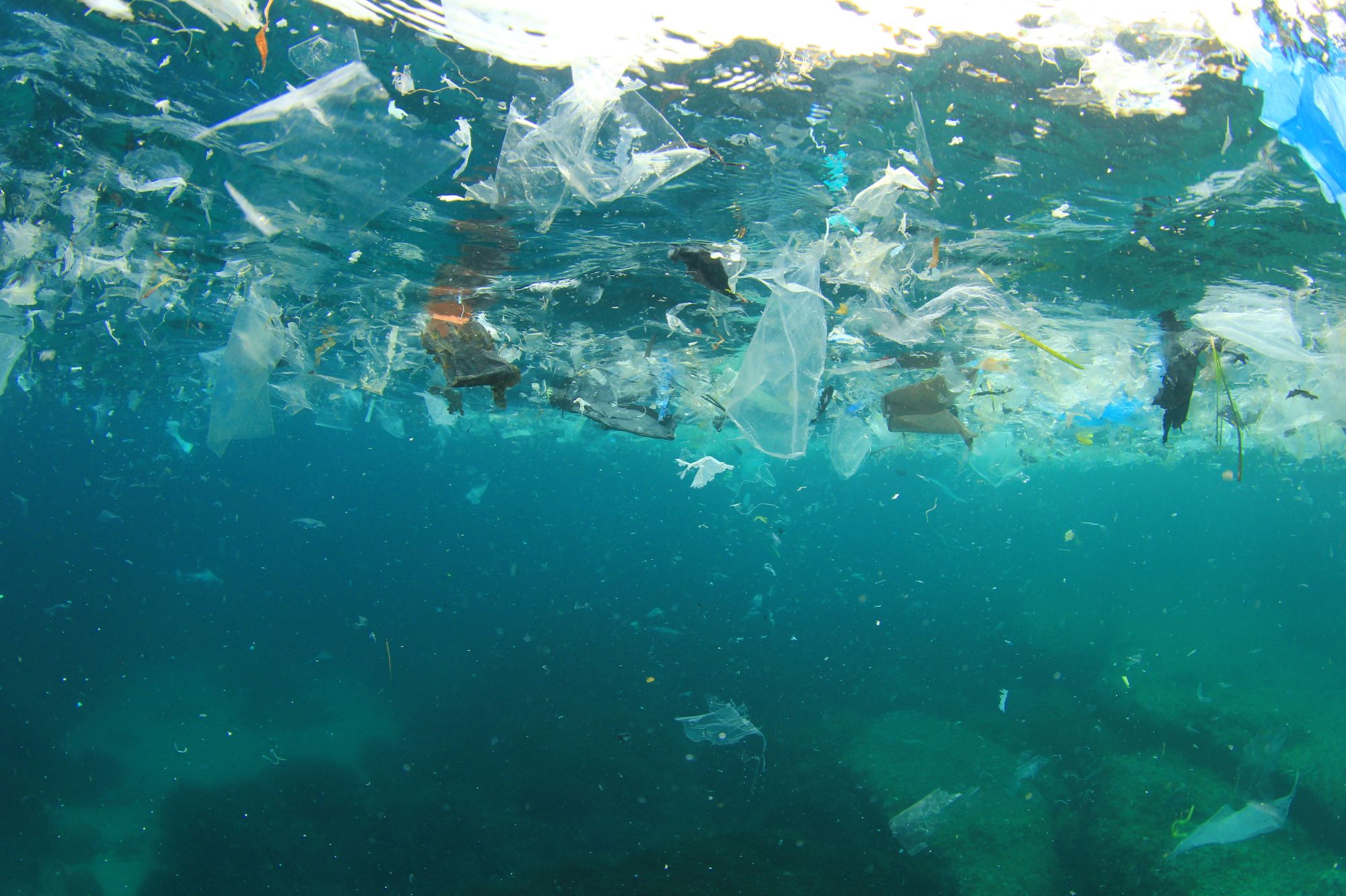 So much ocean plastic originates from sources on land