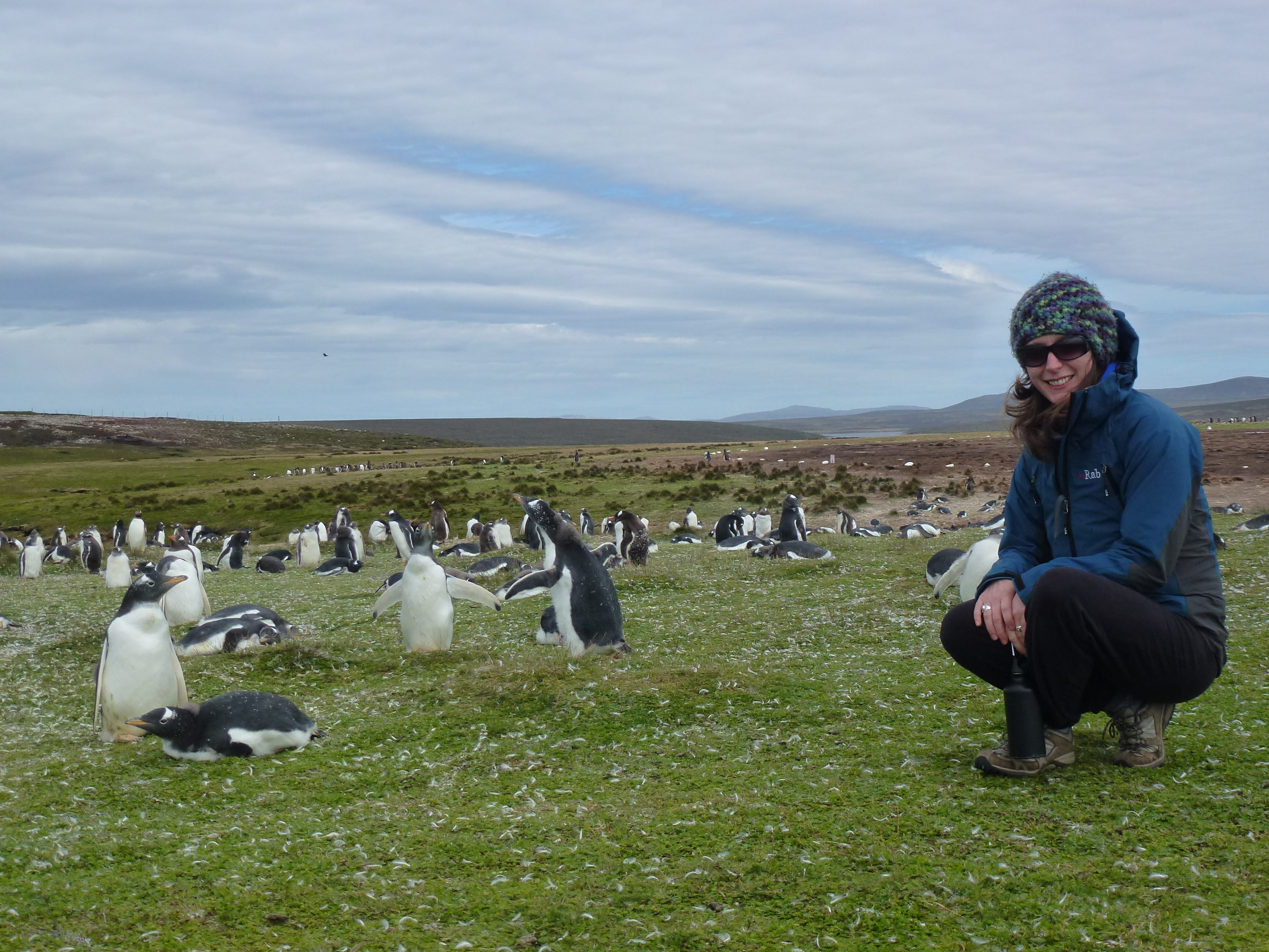 Above: Dr Frances Hopkins in the Falklands pictured alongside a large group of Gentoo penguins. Like other penguin species