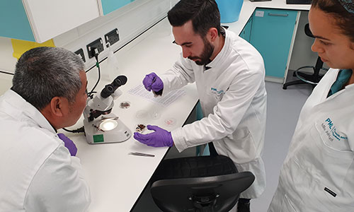 iScientists in the lab