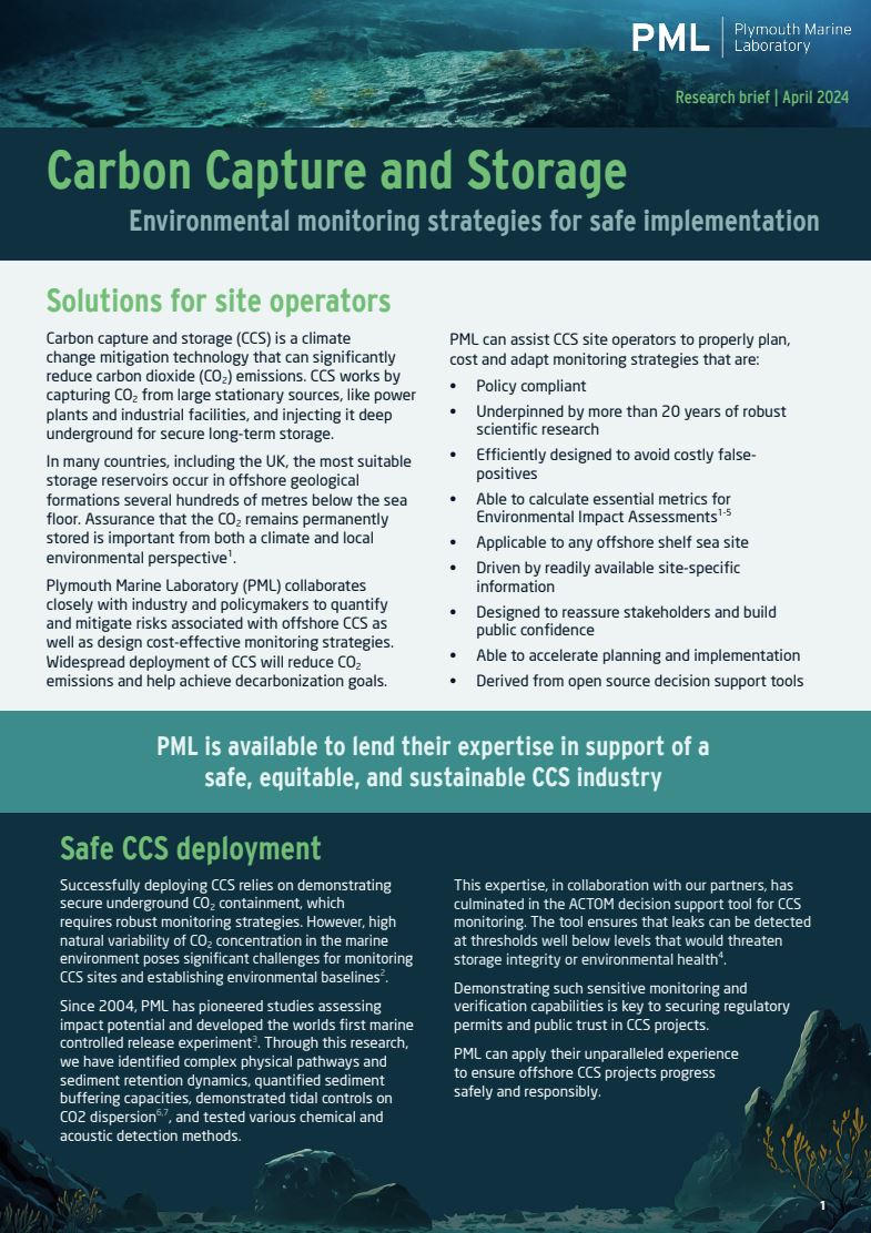 CCS research brief