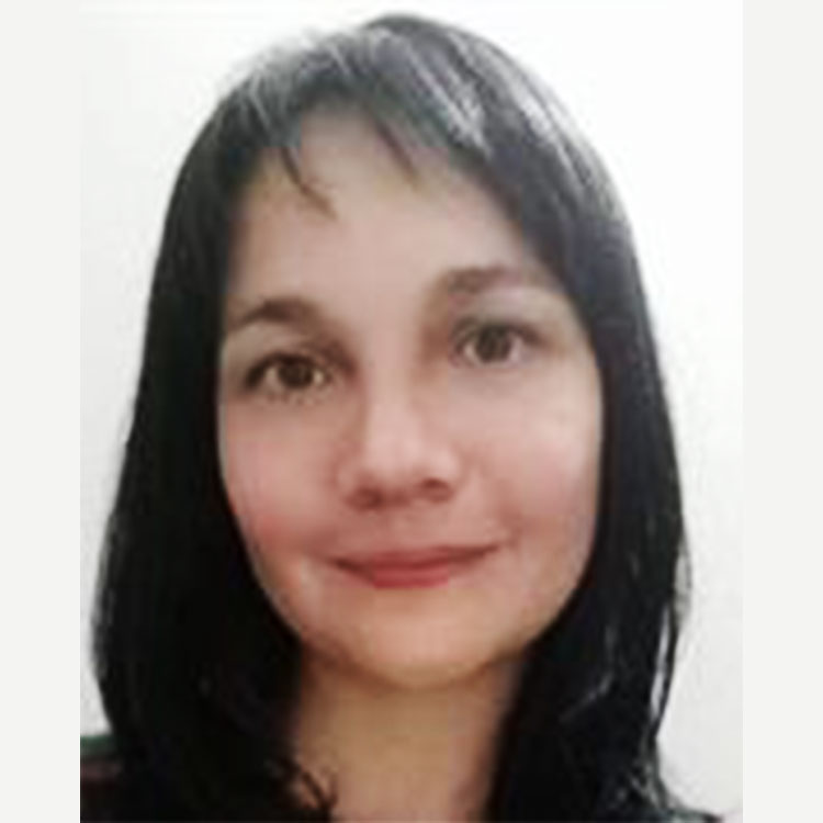 Luz H Rodriguez V